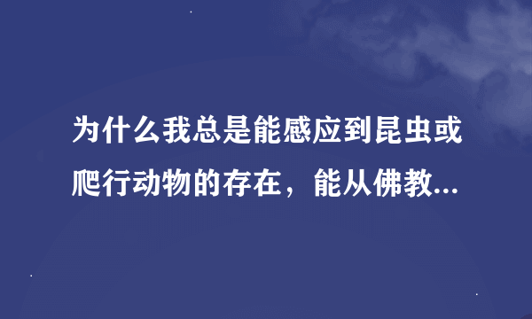 为什么我总是能感应到昆虫或爬行动物的存在，能从佛教或科学角度解释吗？