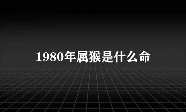 1980年属猴是什么命