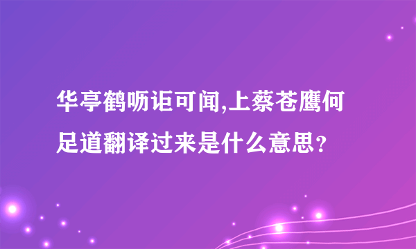 华亭鹤呖讵可闻,上蔡苍鹰何足道翻译过来是什么意思？