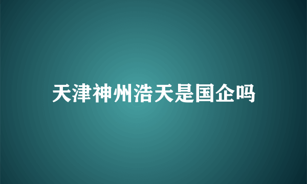 天津神州浩天是国企吗