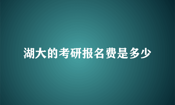 湖大的考研报名费是多少