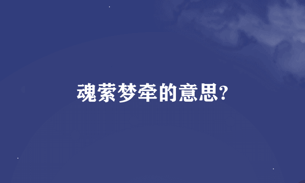 魂萦梦牵的意思?