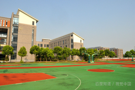 阜阳师范大学代码是多少？