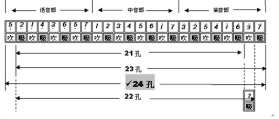 求24孔口琴音阶图