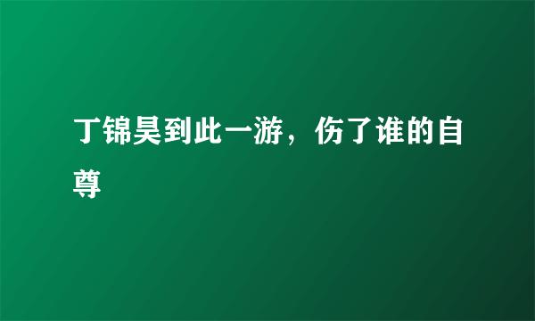 丁锦昊到此一游，伤了谁的自尊