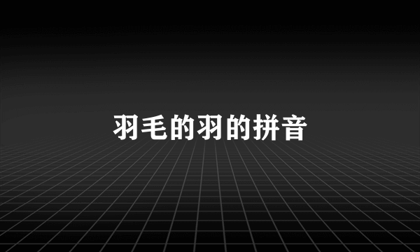 羽毛的羽的拼音