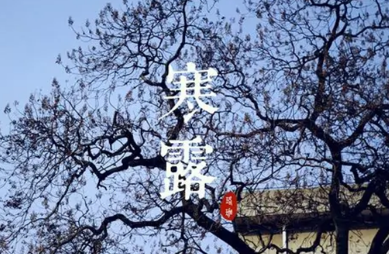 寒露节气是几月几日