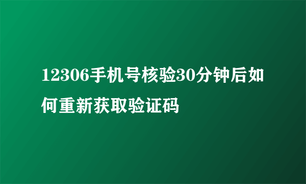 12306手机号核验30分钟后如何重新获取验证码