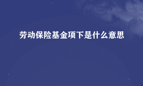 劳动保险基金项下是什么意思