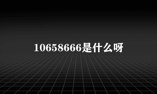 10658666是什么呀