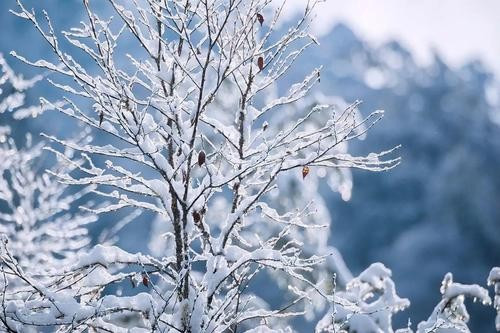 关于描写雪的古诗