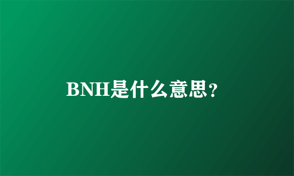 BNH是什么意思？