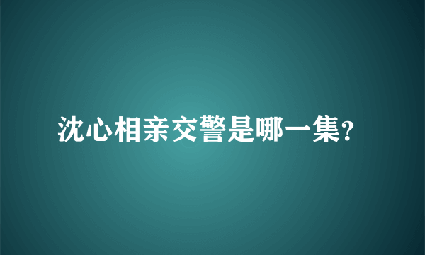 沈心相亲交警是哪一集？