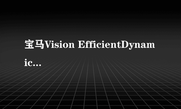 宝马Vision EfficientDynamics 大概多少钱？