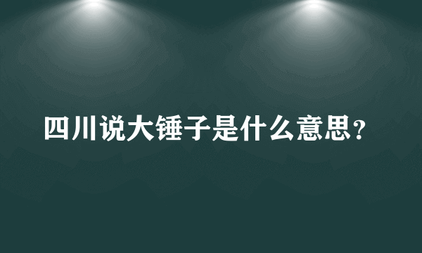 四川说大锤子是什么意思？