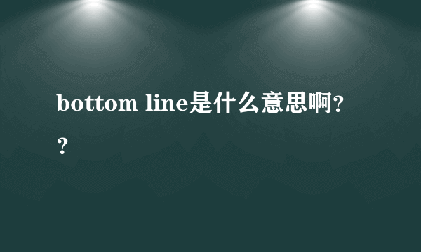 bottom line是什么意思啊？？