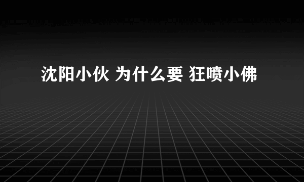 沈阳小伙 为什么要 狂喷小佛