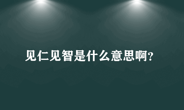 见仁见智是什么意思啊？