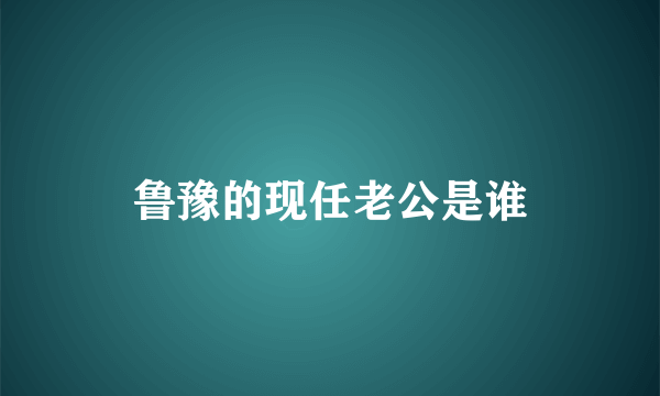 鲁豫的现任老公是谁