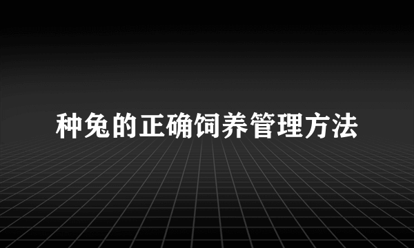 种兔的正确饲养管理方法