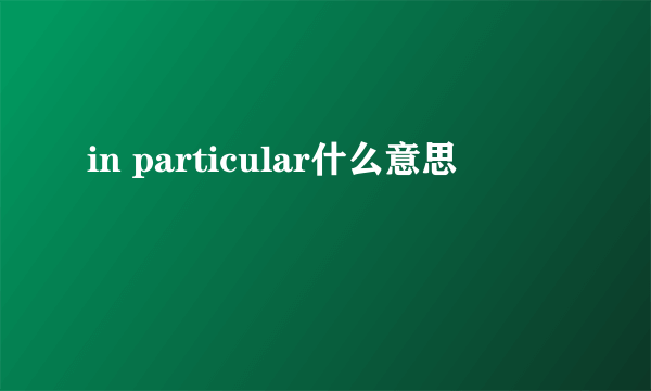 in particular什么意思