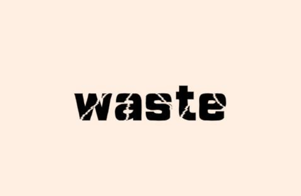 waste 什么意思啊？