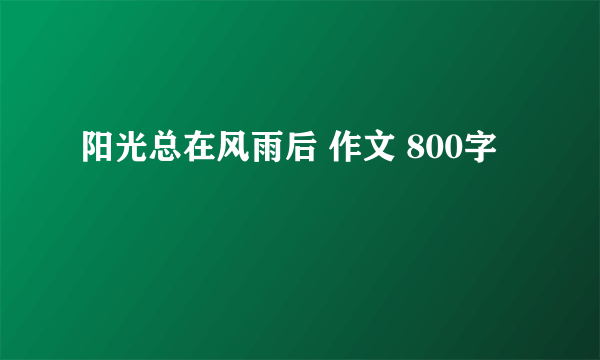 阳光总在风雨后 作文 800字