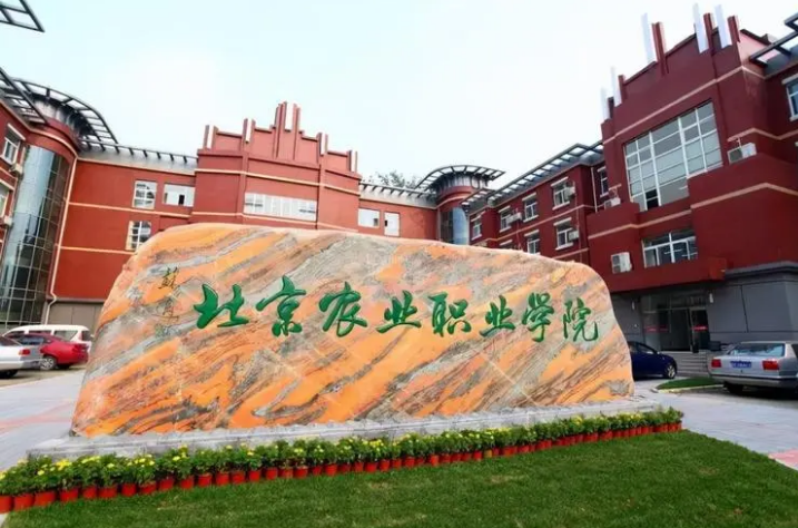 北京专科大学都有哪些学校