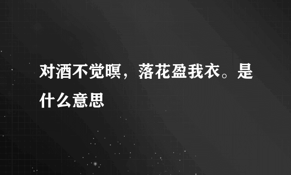 对酒不觉暝，落花盈我衣。是什么意思