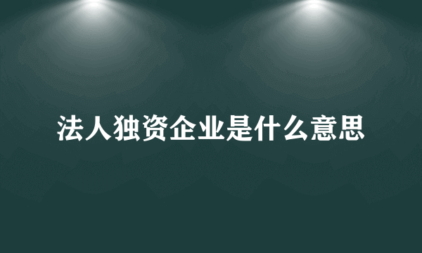 法人独资企业是什么意思