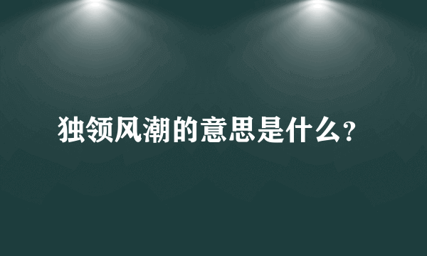 独领风潮的意思是什么？