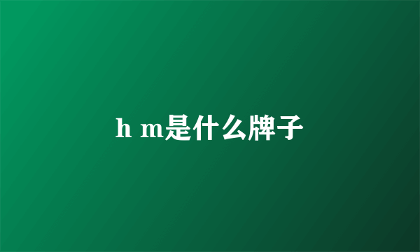 h m是什么牌子