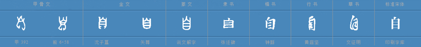 自字笔画顺序怎么写