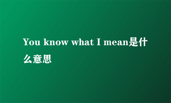 You know what I mean是什么意思