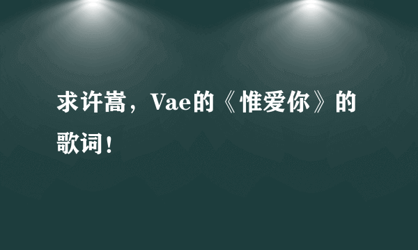 求许嵩，Vae的《惟爱你》的歌词！