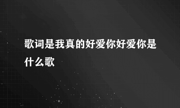 歌词是我真的好爱你好爱你是什么歌