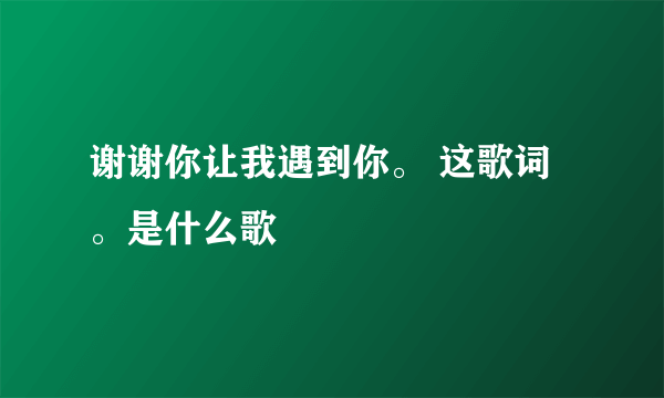 谢谢你让我遇到你。 这歌词。是什么歌