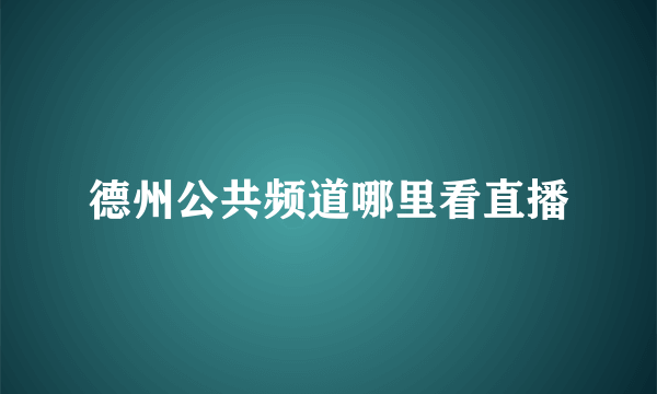 德州公共频道哪里看直播