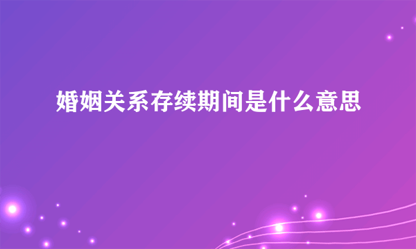 婚姻关系存续期间是什么意思