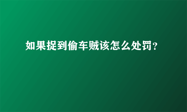 如果捉到偷车贼该怎么处罚？