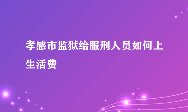 孝感市监狱给服刑人员如何上生活费