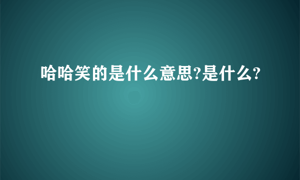 哈哈笑的是什么意思?是什么?