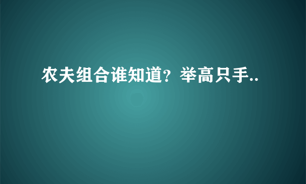 农夫组合谁知道？举高只手..