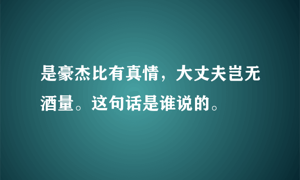 是豪杰比有真情，大丈夫岂无酒量。这句话是谁说的。