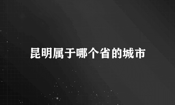 昆明属于哪个省的城市