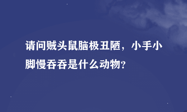 请问贼头鼠脑极丑陋，小手小脚慢吞吞是什么动物？