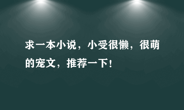 求一本小说，小受很懒，很萌的宠文，推荐一下！