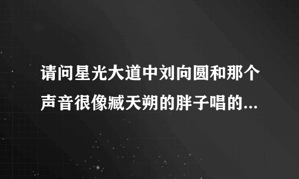 请问星光大道中刘向圆和那个声音很像臧天朔的胖子唱的歌曲叫什么名字？