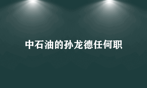 中石油的孙龙德任何职