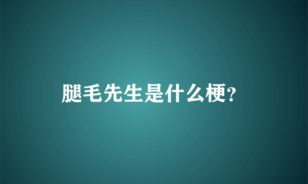 腿毛先生是什么梗？